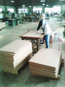 Ply Wood Panel